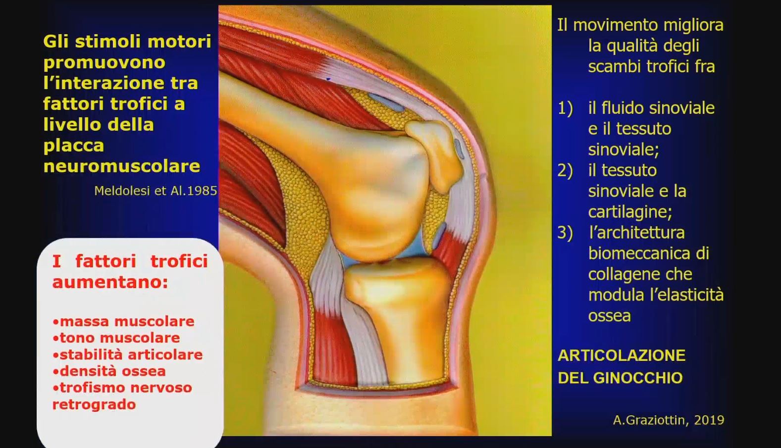 Artrosi aggressiva: diagnosi e prospettive terapeutiche